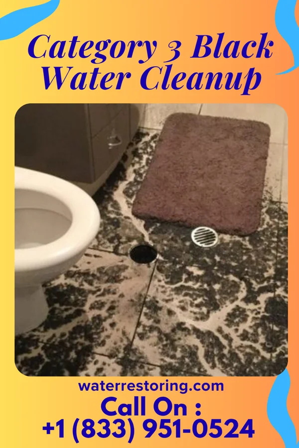 Category 3 Black Water Cleanup in Goldsboro, NC