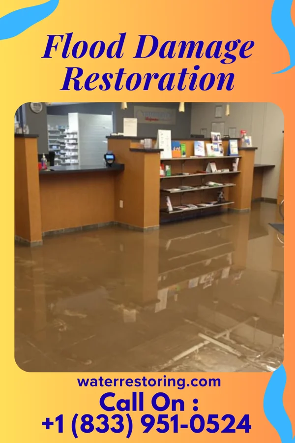 Flood Damage Restoration in Goldsboro, NC