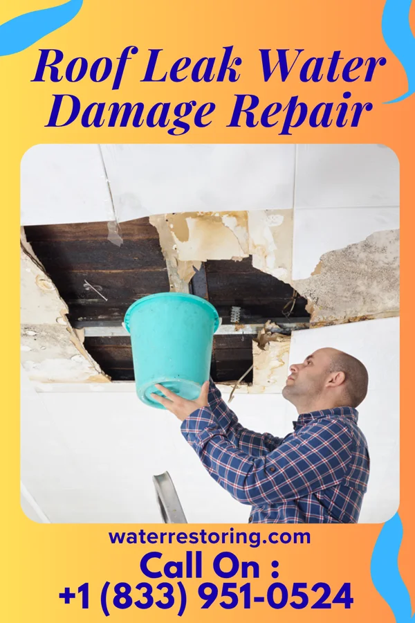 Roof Leak Water Damage Repair in Goldsboro, NC