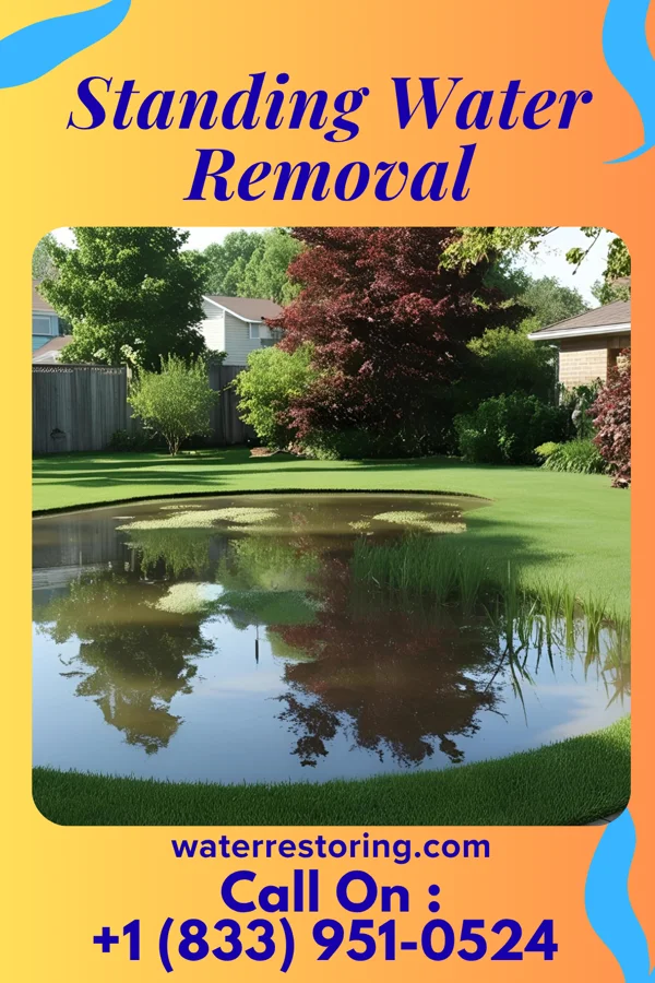 Standing Water Removal in Goldsboro, NC